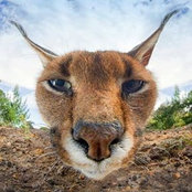 Bill Pitt's photo