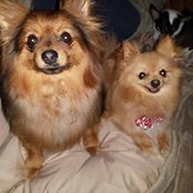Hank Comans's photo