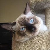 Melissa Templeton's photo