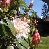 Anne Hollands's photo