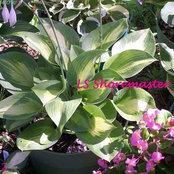 ilovetogrow z9 Jax Florida's photo