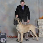 Amanda Jamieson's photo