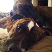 Kellie Campbell's photo