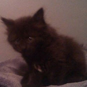 Kristi Keefe's photo