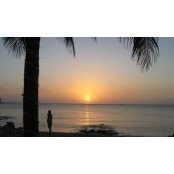 Mari Vogel's photo