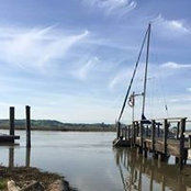 Sue Pearson's photo