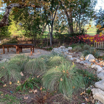 California Craftsman Forest - 5 Years Later