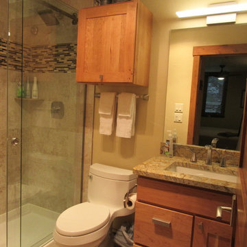 Ski Trail Lane-Steamboat Springs - Adams mountain modern renovation