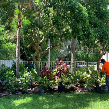 TROPICAL BACKYARD