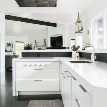 Lake Oswego Modern