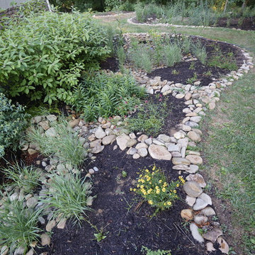 French Broad Rain Garden - First Summer 2016