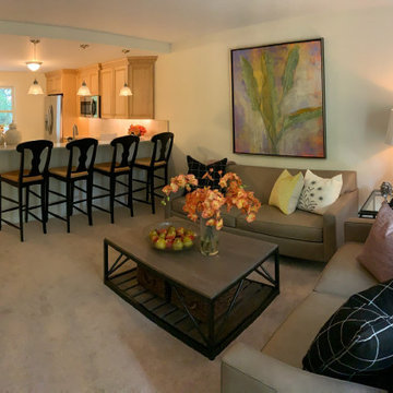 White Horse Village Staging
