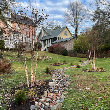 Rejuvenated Walkway and Driveway in Takoma Park Maryland
