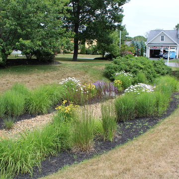 Drainage Ditch - Photos & Ideas 