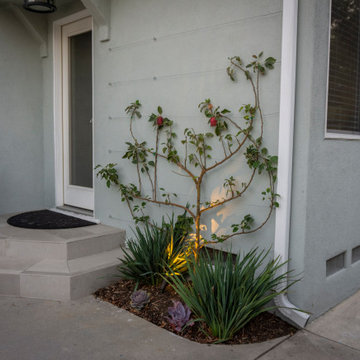 Culver City Residential Retreat