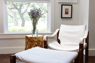 Trendy living room photo in Austin