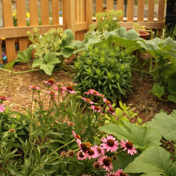 Culinary Garden