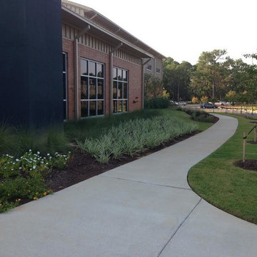 Our Work