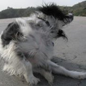Marcelino Goncalves's photo