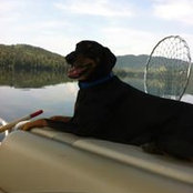 Cheryl Lobsiger's photo