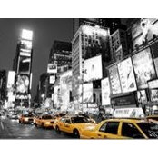 Andrew Rogers's photo