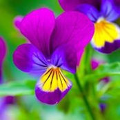 Barbara Brandt's photo