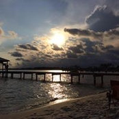 Rob Morris's photo