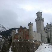 Nicole Cromp's photo