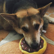 Shannon Kochersperger's photo