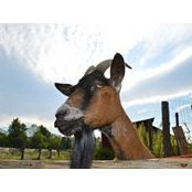 Ali Webb's photo