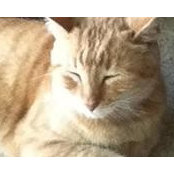 Charmaine Albury Roberts's photo