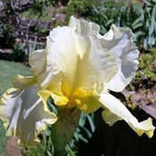 Sally Torgeson's photo