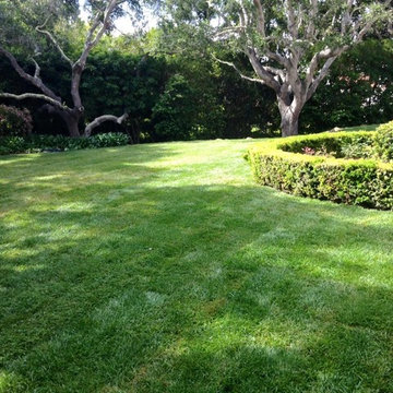 Santa barbara Shrub care Maintenance company