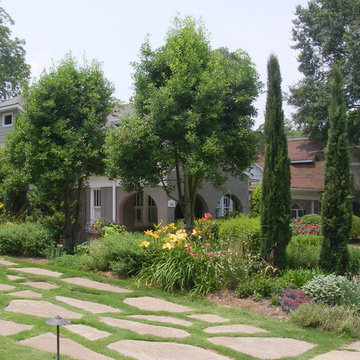 Reclaimed hollies into trees provided space for color.