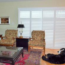 Window Coverings