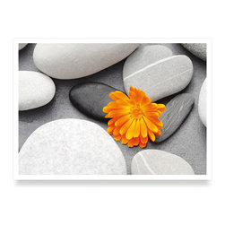 Latest products on floor - Products