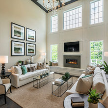 Double Height Great Room ideas