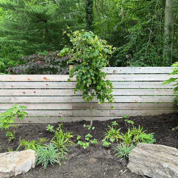 Conservation and rain gardens landscape