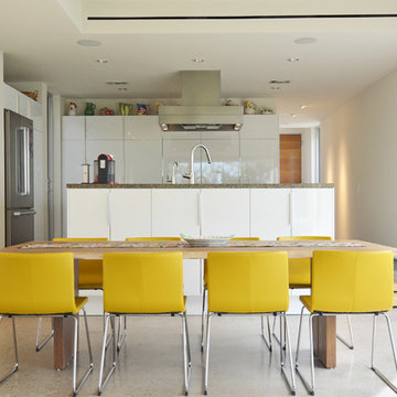 My Houzz: Modern Simplicity in Dallas