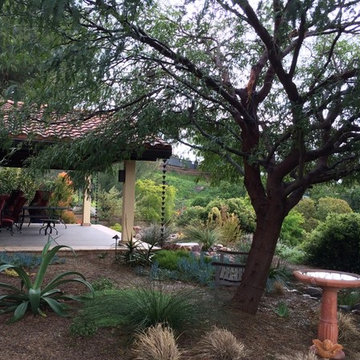 Escondido Front Yard
