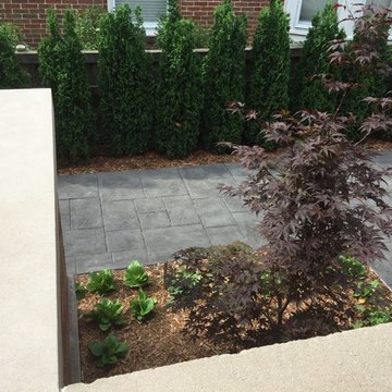 A new walk and patio of stamped concrete with an evergreen screen