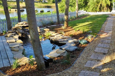 Photo of a tropical landscaping in Tampa.