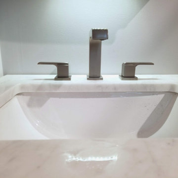 Charlotte Contemporary Master Bathroom