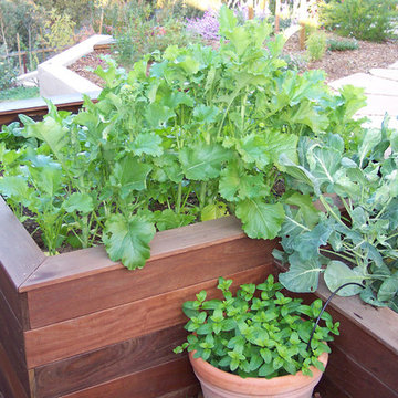 Ipe brazilian hardwood planter boxes