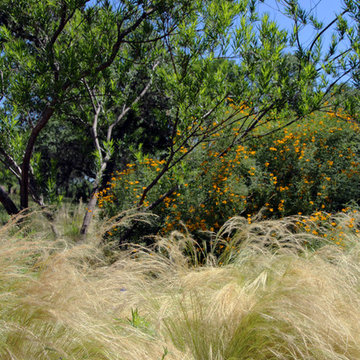 Spicewood Garden