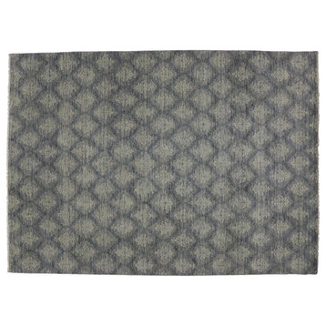 New Transitional Area Rug, 10'00 X 14'00