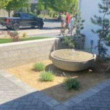 Lang Front Yard