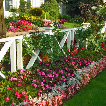 Planting and Maintenance
