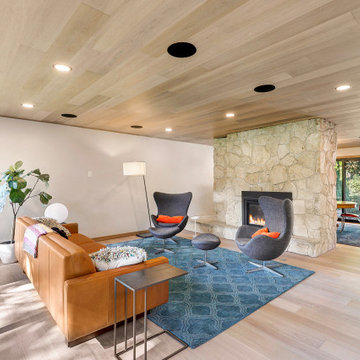 St Louis Park - full house remodel