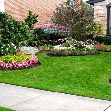 Planting and Maintenance